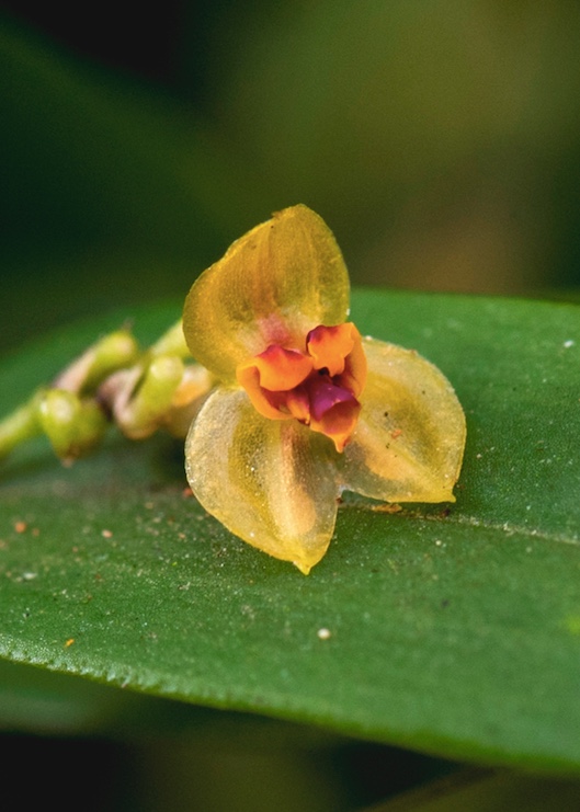 09e94e79-a274-4458-9104-